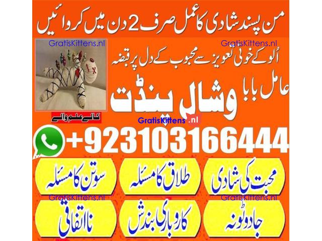 parwafull AmilBaba BlackmagicRemoval AsliAmilBaba in ITLAY