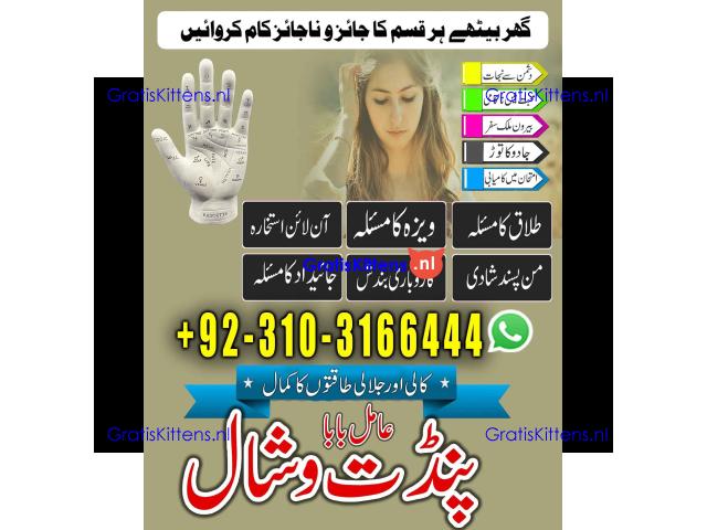 vashikaran AmilBaba in London +923103166444