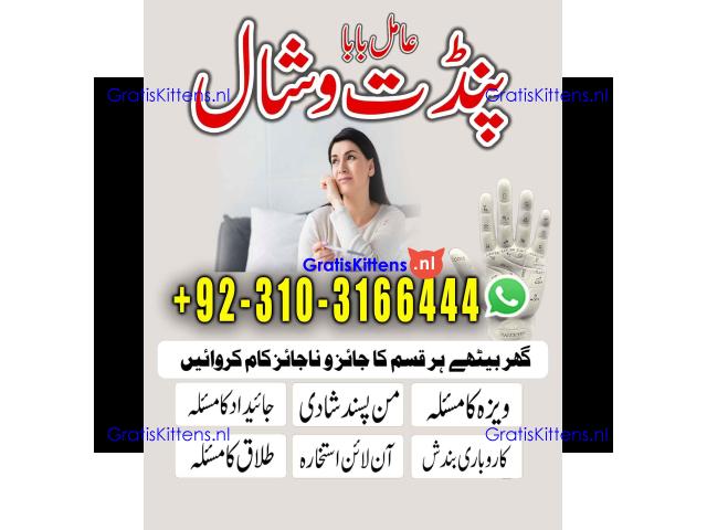 vashikaran AmilBaba in London +923103166444