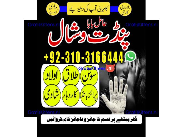 AmilBaba manpasandshadi #horoscope #spiritual #lovelife #lovespell #marriagespe