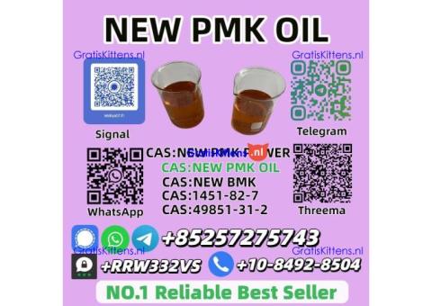 NO.1 Supply New PMK Oil 28578-16-7 Fast Shipping