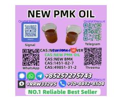 NO.1 Supply New PMK Oil 28578-16-7 Fast Shipping