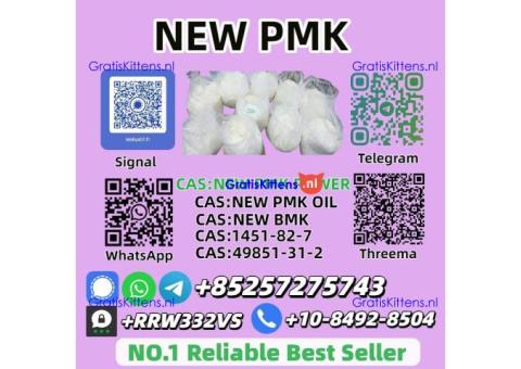 Hot Selling New PMK Power 28578-16-7 High Quality