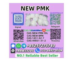 Hot Selling New PMK Power 28578-16-7 High Quality