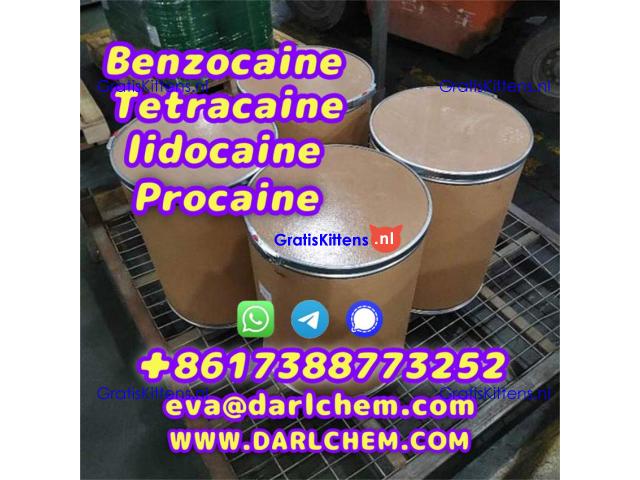 Lidocaine Benzocaine Procaine raw Powder 137-58-6 darl Supply