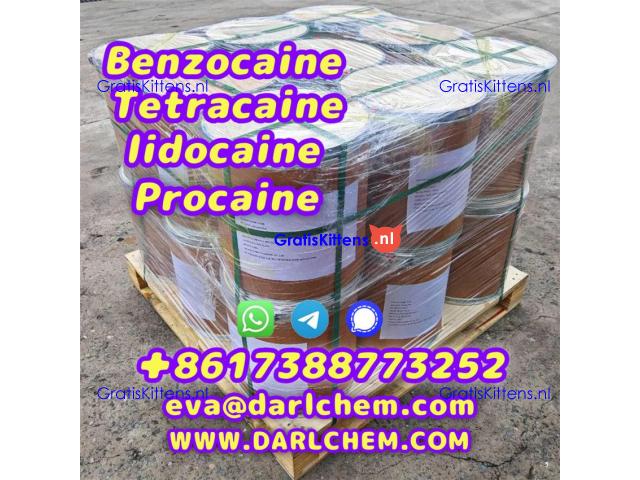 Lidocaine Benzocaine Procaine raw Powder 137-58-6 darl Supply