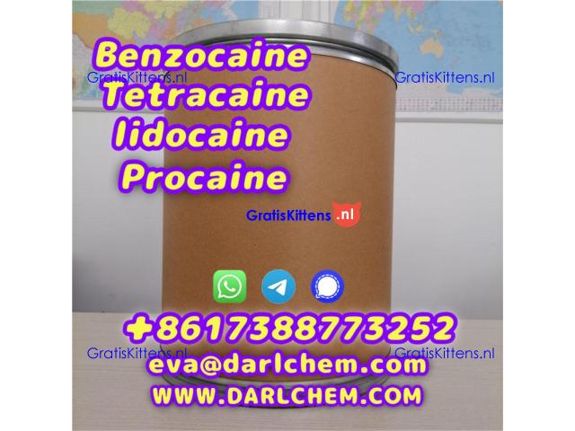 Lidocaine Benzocaine Procaine raw Powder 137-58-6 darl Supply
