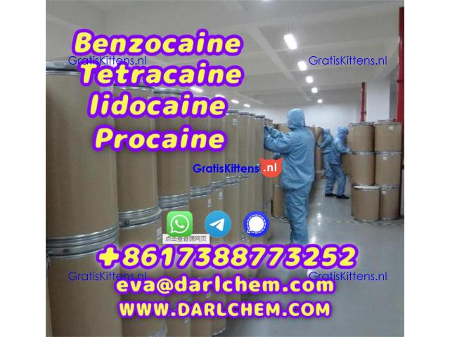 Lidocaine Benzocaine Procaine raw Powder 137-58-6 darl Supply