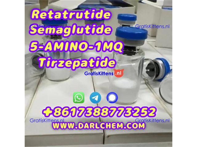 Semaglutide 5-AMINO-1MQ Retatrutide 910463-68-2  Factory