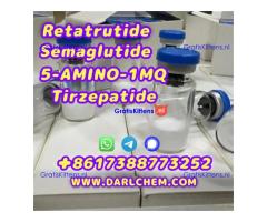 Semaglutide 5-AMINO-1MQ Retatrutide 910463-68-2  Factory