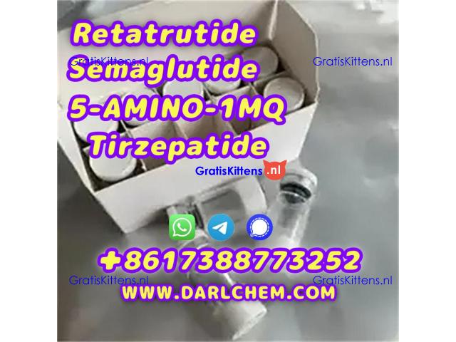 Semaglutide 5-AMINO-1MQ Retatrutide 910463-68-2  Factory