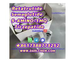 Semaglutide 5-AMINO-1MQ Retatrutide 910463-68-2  Factory