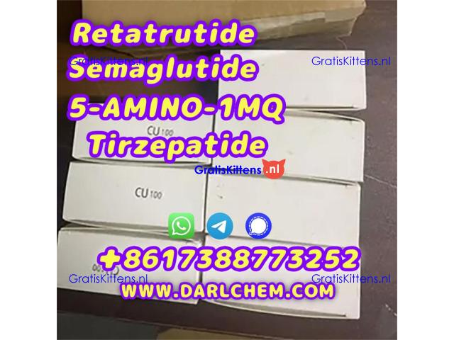 Semaglutide 5-AMINO-1MQ Retatrutide 910463-68-2  Factory