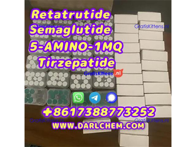 Semaglutide 5-AMINO-1MQ Retatrutide 910463-68-2  Factory