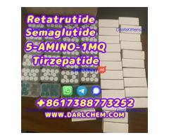 Semaglutide 5-AMINO-1MQ Retatrutide 910463-68-2  Factory