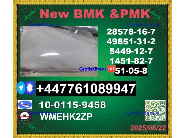 51-05-8 Procaine and 123-75-1,5337-93-9,877-37-2,16940-66-2,593-51-1