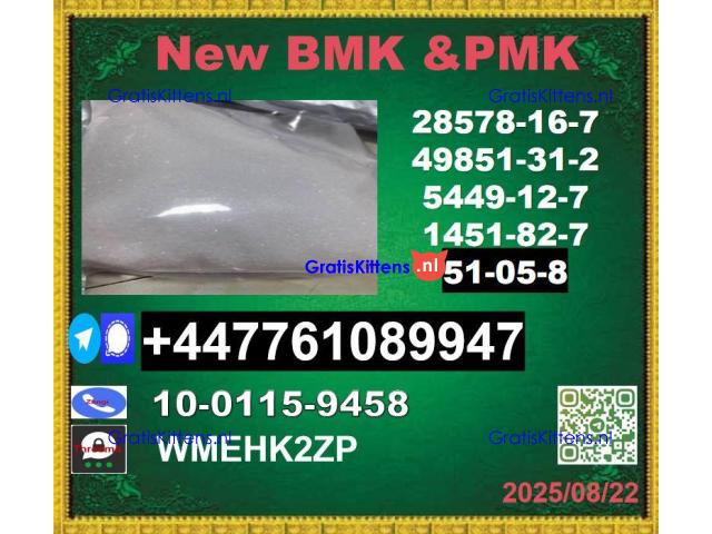 51-05-8 Procaine and 123-75-1,5337-93-9,877-37-2,16940-66-2,593-51-1
