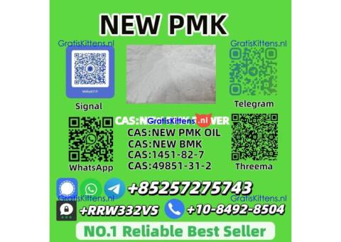 High Purity P.M.K P.owder 28578-16-7 Competitive Price Supply