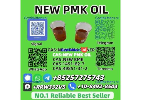 Top-Selling New P.M.K Oil 28578-16-7 Wholesale & Bulk Supply