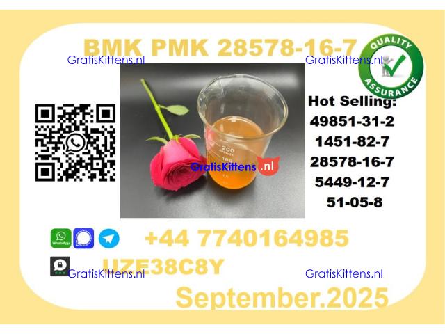 BMK PMK，CAS 28578-16-7-Precision-Sourced for Industry