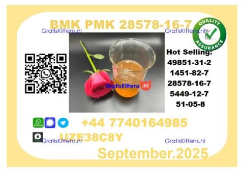 BMK PMK，CAS 28578-16-7-Precision-Sourced for Industry