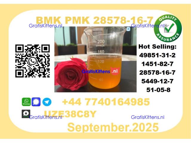 BMK PMK，CAS 28578-16-7-Precision-Sourced for Industry