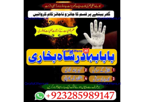 Top Amil baba Bangali Kala jadu expert specialist Kala Ilam