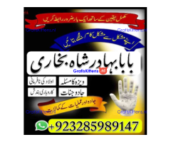 Top Amil baba Bangali Kala jadu expert specialist Kala Ilam