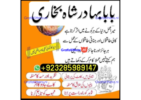 Top Amil baba Bangali Kala jadu expert specialist Kala Ilam