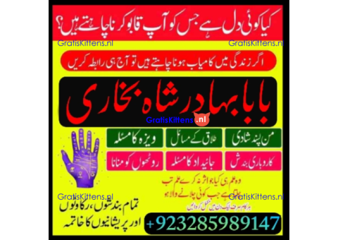 Top Amil baba Bangali Kala jadu expert specialist Kala Ilam