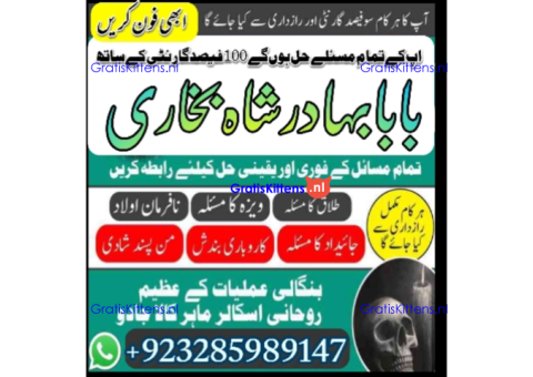Top Amil baba Bangali Kala jadu expert specialist Kala Ilam