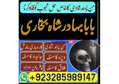 Top Amil baba Bangali Kala jadu expert specialist Kala Ilam