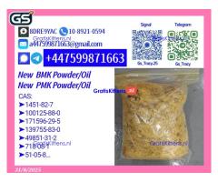 Fresh 28578-16-7 p m k Oil 5449-12-7 b m k Fast Shipping