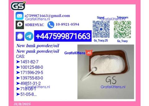 Fresh 28578-16-7 p m k Oil 5449-12-7 b m k Ready for Immediate Shipment