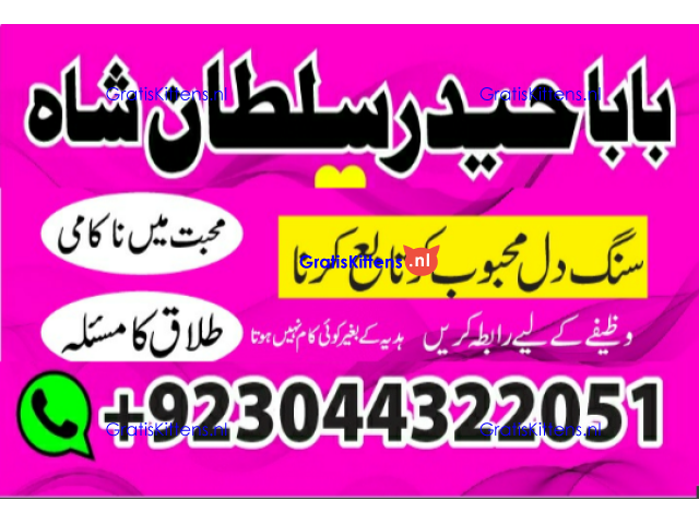 Love marriage in london-uk amil baba in pakistan no 1 real kala jadu uk