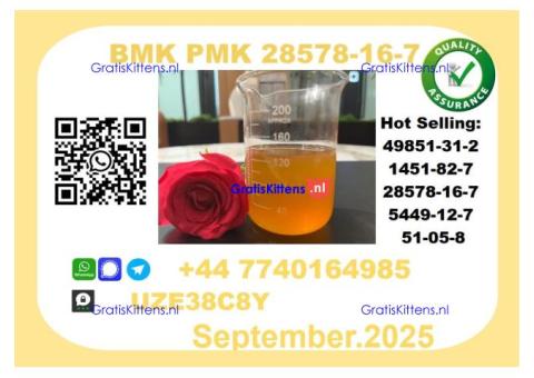 CAS 28578-16-7 BMK PMK Certified Factory Supply