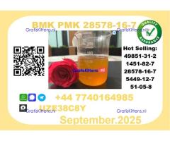 CAS 28578-16-7 BMK PMK Certified Factory Supply