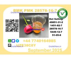 CAS 28578-16-7 BMK PMK Certified Factory Supply