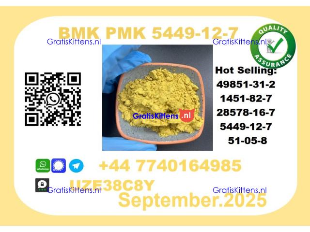 BMK PMK, CAS 5449-12-7-Precision-Sourced for Industry