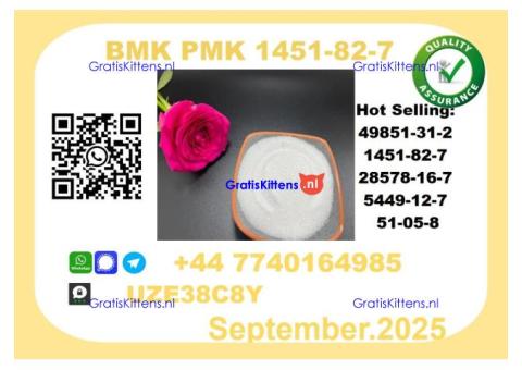 BMK PMK factory,CAS 1451-82-7