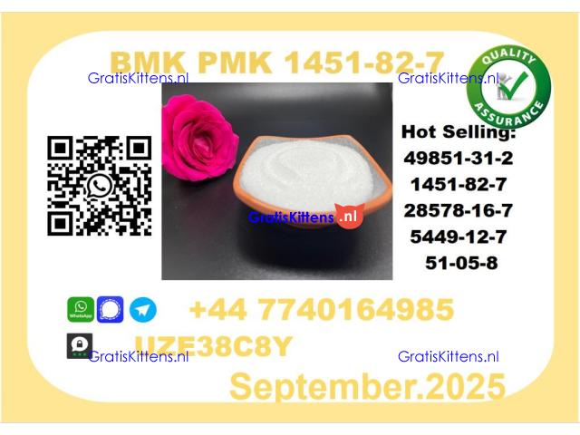BMK PMK factory,CAS 1451-82-7