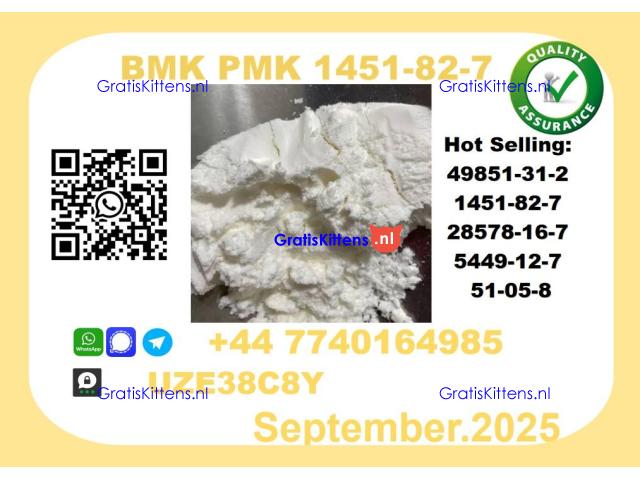 BMK PMK factory,CAS 1451-82-7