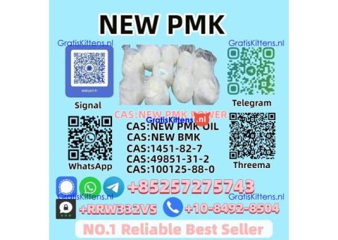 Factory Supply 28578-16-7 P.M.K Gl.ycidate P.ower In Stock