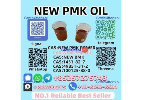 High Purity P.M.K Oil 28578-16-7 In Stock for Fast Delivery