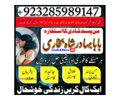 Real amil baba in uk, Asli Amil baba in usa, Top 1 Amil Baba