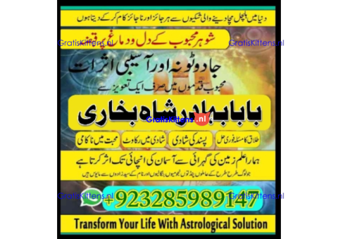 Real amil baba in uk, Asli Amil baba in usa, Top 1 Amil Baba