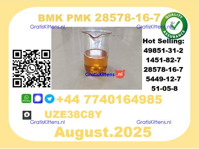 CAS 28578-16-7 BMK PMK Certified Factory Supply