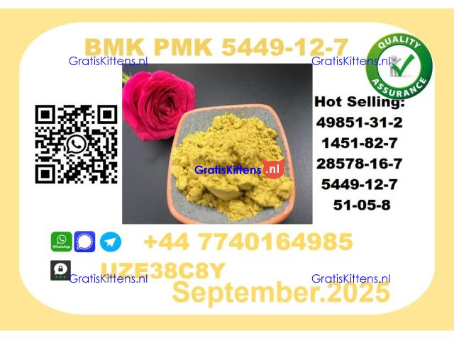 BMK PMK, CAS 5449-12-7-Precision-Sourced for Industry