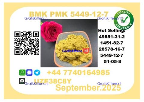 BMK PMK, CAS 5449-12-7-Precision-Sourced for Industry