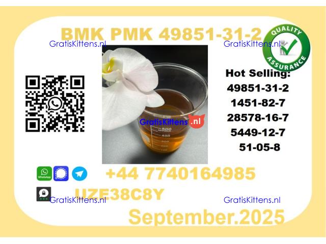 BMK PMK, CAS 49851-31-2 Precision-Sourced for Industry